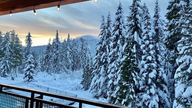 Schnee bedeckter Wald, sichtbar von einem überdachten Balkon mit Lichterketten.
