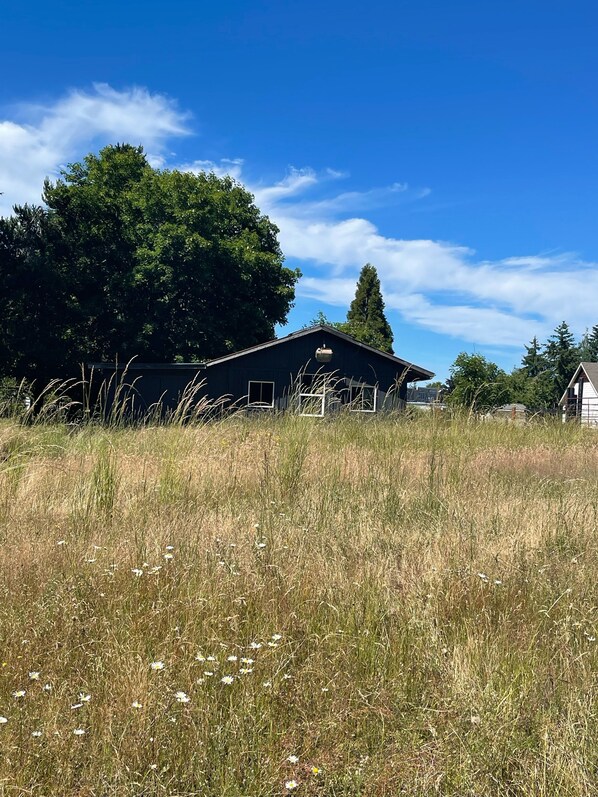 A rural barn with a clear blue sky and tall grass in the foreground. - Mountain View...walk to attractions & dining (Yelm)