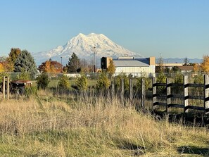 A mountain with a building in the foreground, a fence, and some trees. - Mountain View...walk to attractions & dining (Yelm)