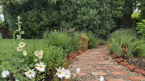 A garden pathway with white flowers and green foliage. - Ô Mirror... straightforwardly tell me everything about this trip  (Francescas)