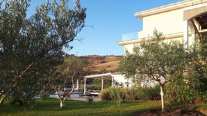 Un edificio moderno con un área de estar al aire libre cubierta, rodeado de olivos y un césped.