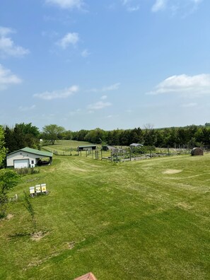 Property grounds - 82 Acre Hobby Farm with Lincoln Log Cabin (De Soto)