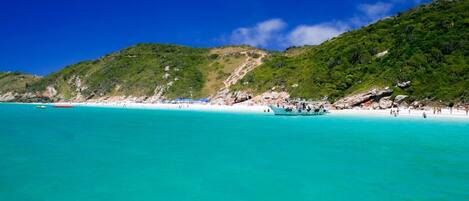 بالقرب من الشاطئ