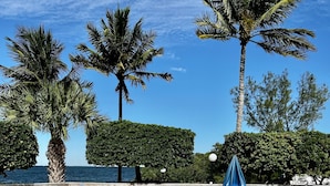 A rectangular pool with clear blue water, surrounded by white lounge chairs and a wooden deck. - Spacious condo, great location in paradise! (Key Largo)