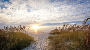 A beach path leading to the sea with tall grasses on either side. - Two Bedroom Lock-off, Luxury Condo, Cape Canaveral, Florida (2563804) (Cape Canaveral)