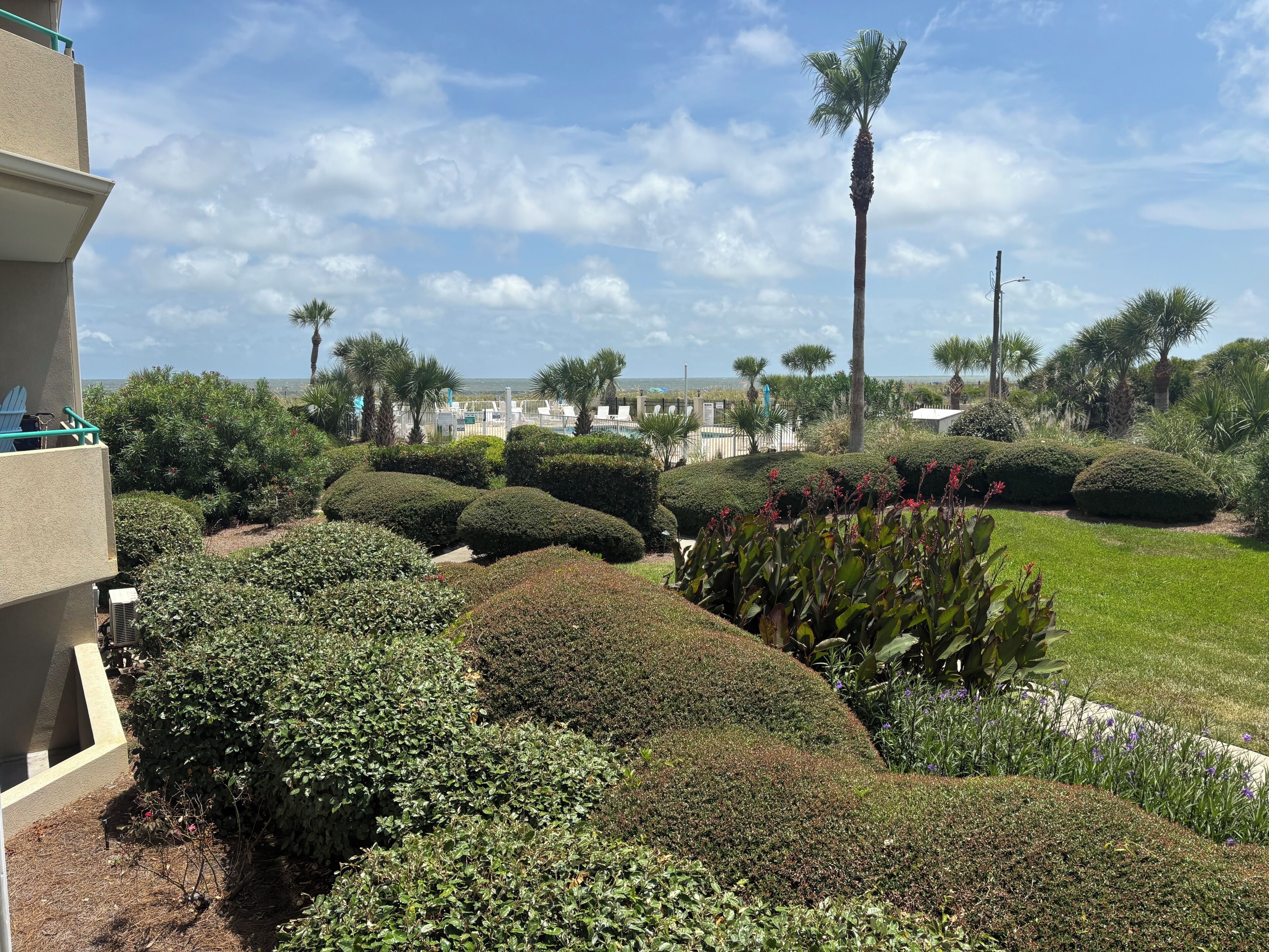 A landscaped garden with various shrubs and a palm tree, a building with a balcony, and a clear sky.