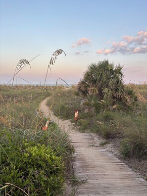 A wooden pathway leading through a natural landscape with grass and palm trees.