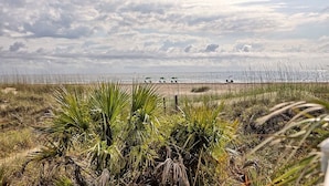 Una playa con vegetación escasa y una vista distante del mar.