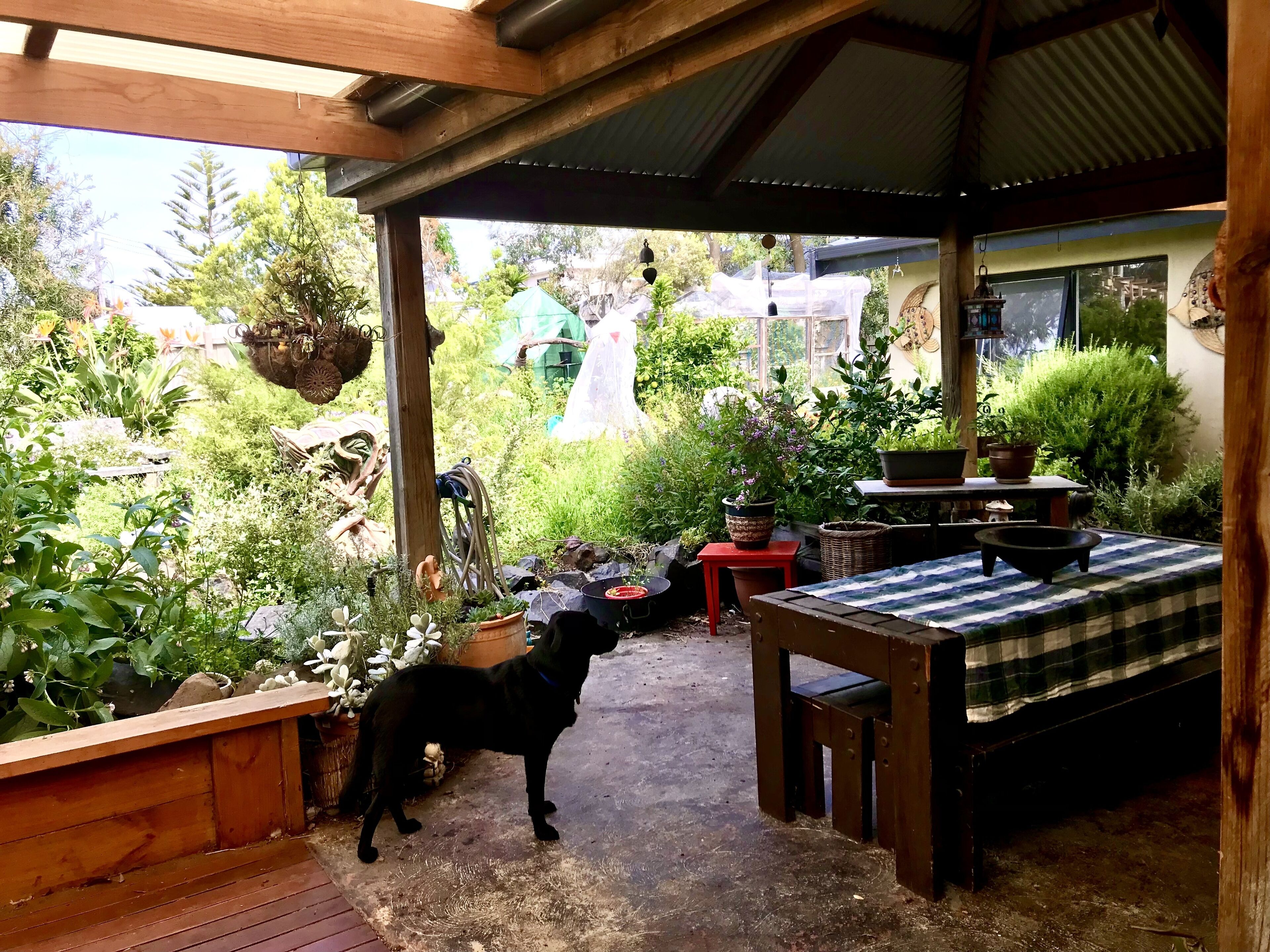 A covered outdoor area with a wooden bench, a table with a checkered tablecloth, and various potted plants.