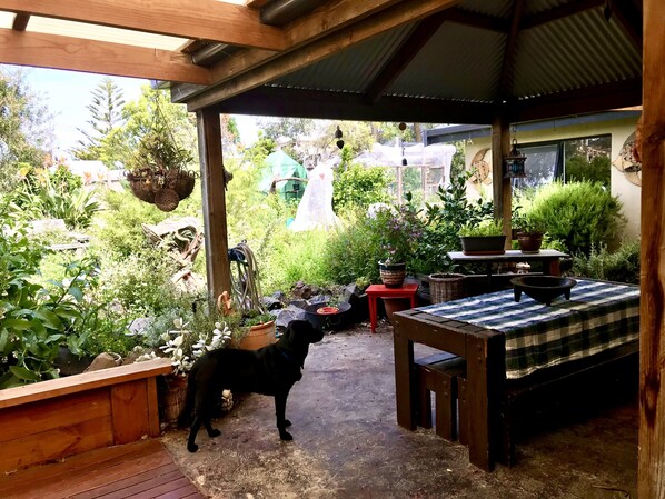 A covered outdoor area with a wooden bench, a table with a checkered tablecloth, and various potted plants.