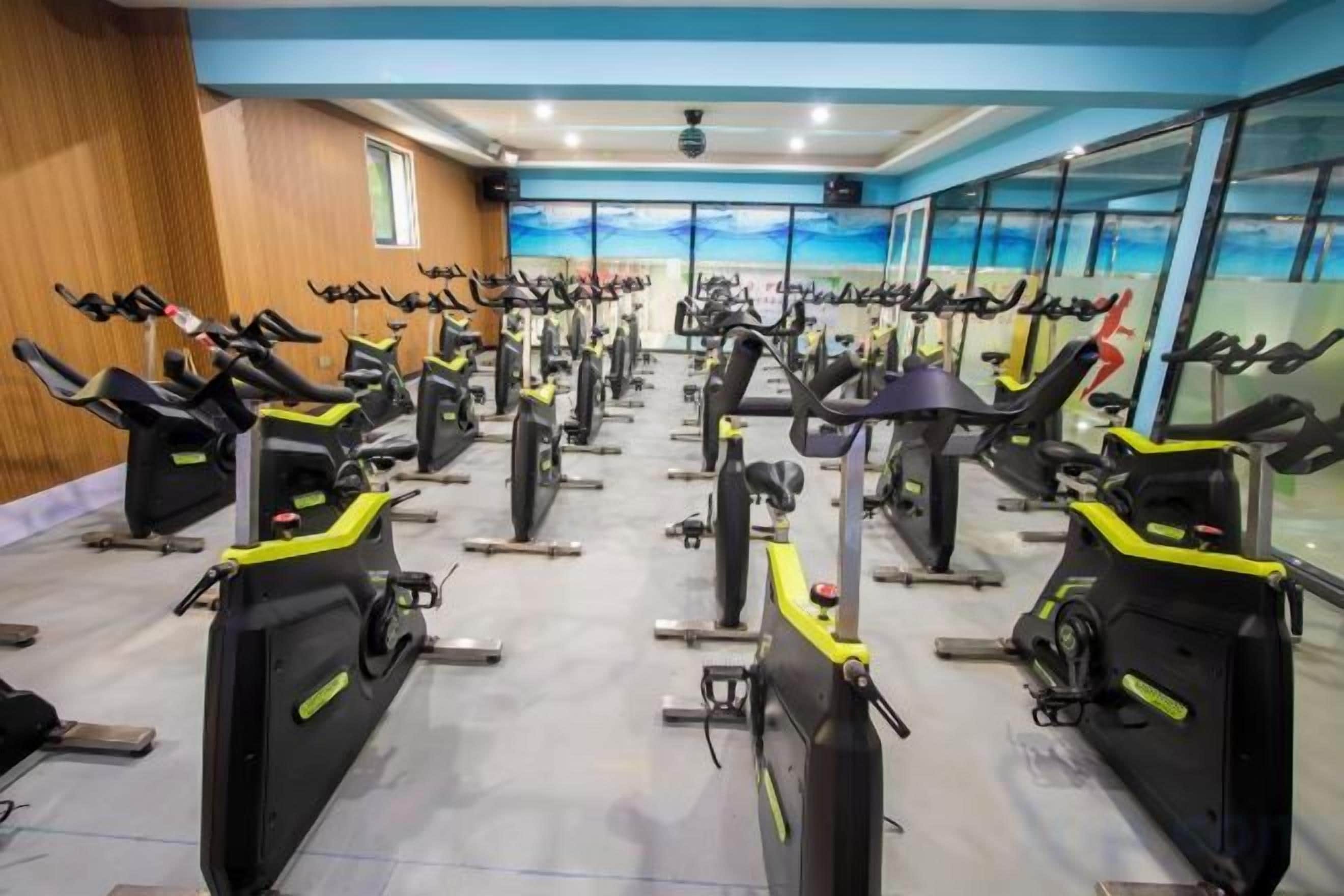 A gym with multiple exercise bikes and treadmills arranged in rows.