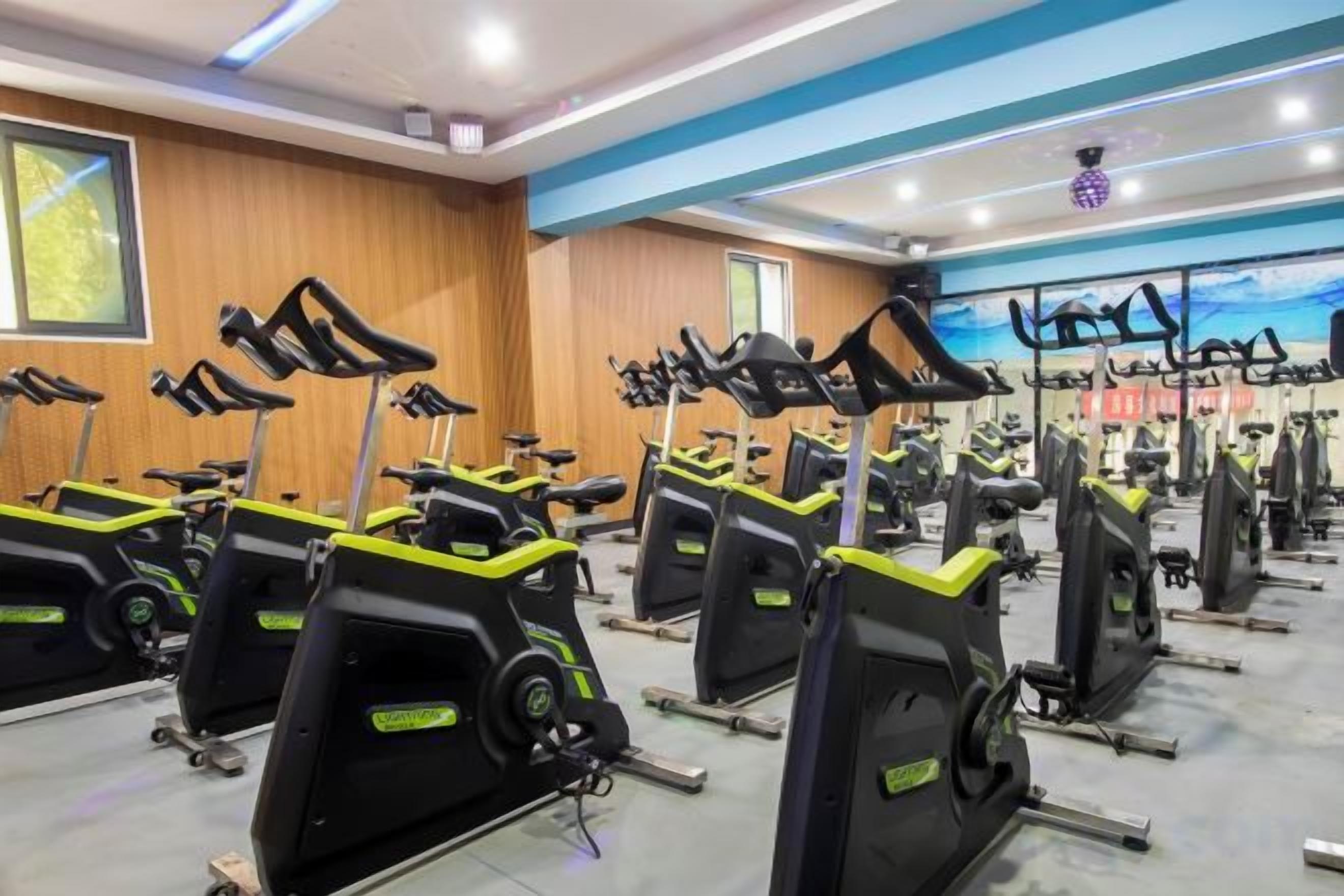 A gym with multiple treadmills arranged in rows.