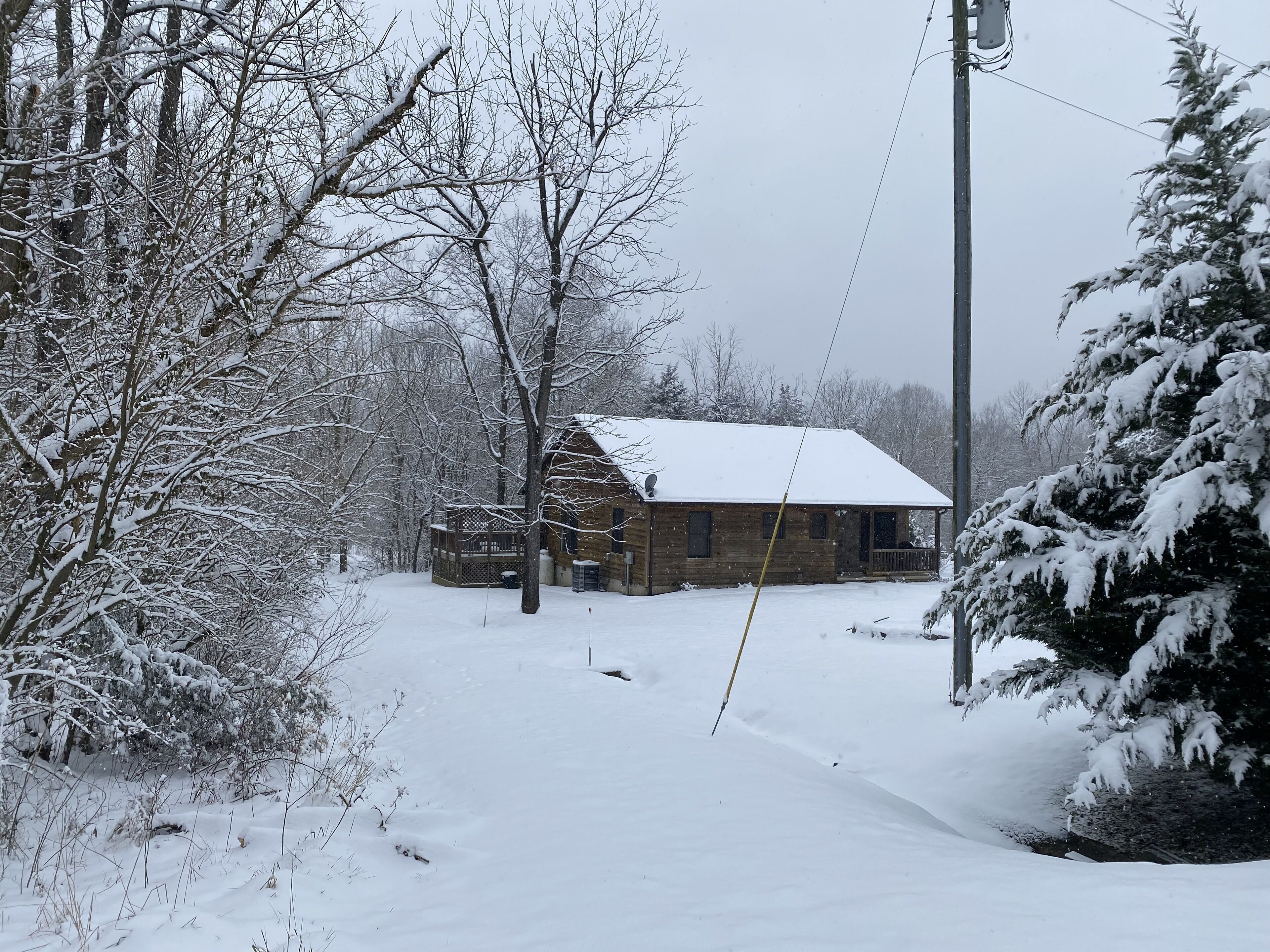 Una cabaña de madera rodeada de árboles cubiertos de nieve.