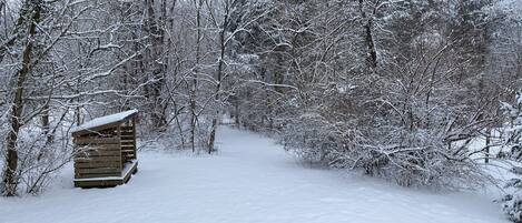 A snow-covered path leading to a wooden cabin in a forest.