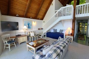 Smart TV, fireplace, DVD player, books