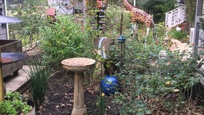 Jardí amb una banyera per a ocells, un vas blau i una estàtua de girafa.