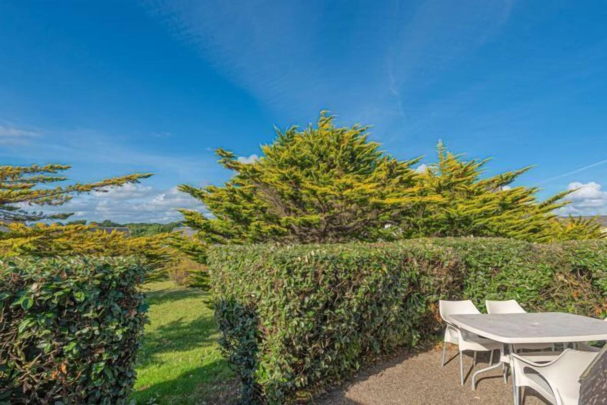 A table with chairs outside, surrounded by greenery and trees.