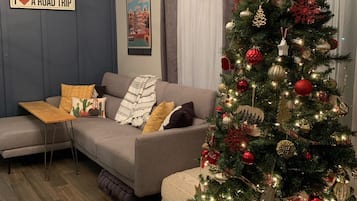 Smart TV, fireplace, books