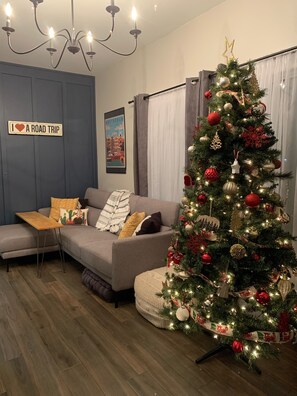 Smart TV, fireplace, books