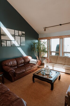 智能电视、壁炉