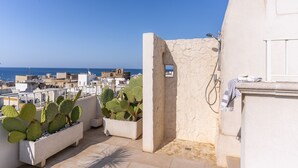 A rooftop terrace with potted cacti, a stone wall, and a view of the cityscape and sea. - Mare Mare Mare (Gallipoli)