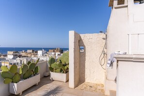En takterrass med krukväxter i form av kaktusar, en stenmur och utsikt över stadsbilden och havet.