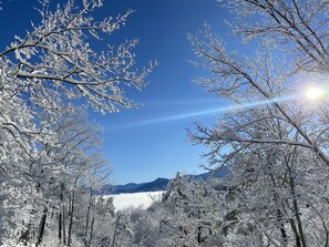 Un paysage enneigé, avec des arbres et des montagnes en arrière-plan.