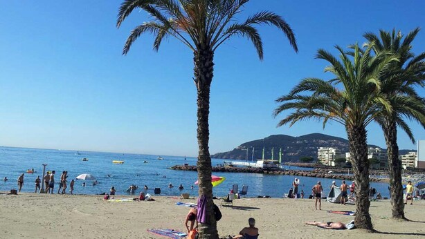 A beach with palm trees, people sunbathing, and boats in the water.
