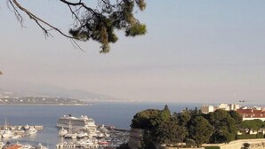 A coastal cityscape with a marina, a large cruise ship docked, and historical buildings.