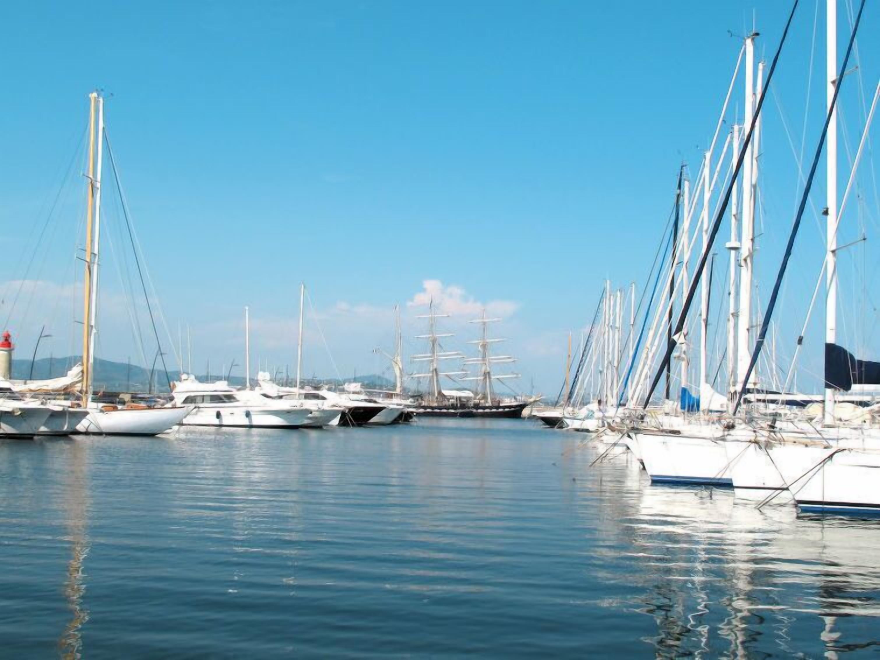 A marina with multiple sailboats docked.