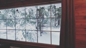 A window with a view of a snowy forest.