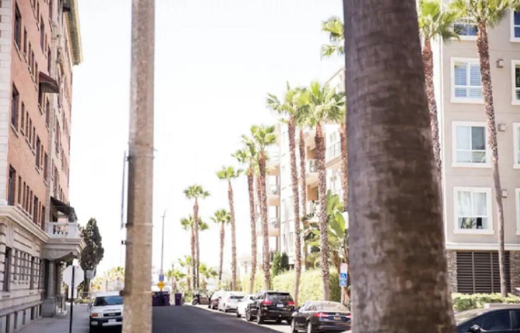 A street lined with palm trees and parked cars, with buildings on either side.