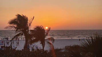 Condo (28750 Trails Edge Blvd #504) | Exterior