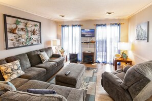 Télévision, cheminée, lecteur de DVD