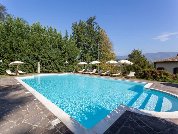Una piscina con sillones de descanso y sombrillas, rodeada de árboles y un cielo despejado.