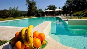 A swimming pool with lounge chairs and umbrellas, surrounded by greenery. - Tuscan Family Villa with Sauna (Bucine)