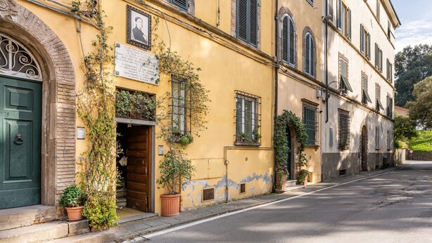 A yellow building with a green door, potted plants, and a plaque.