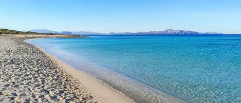 Am Strand