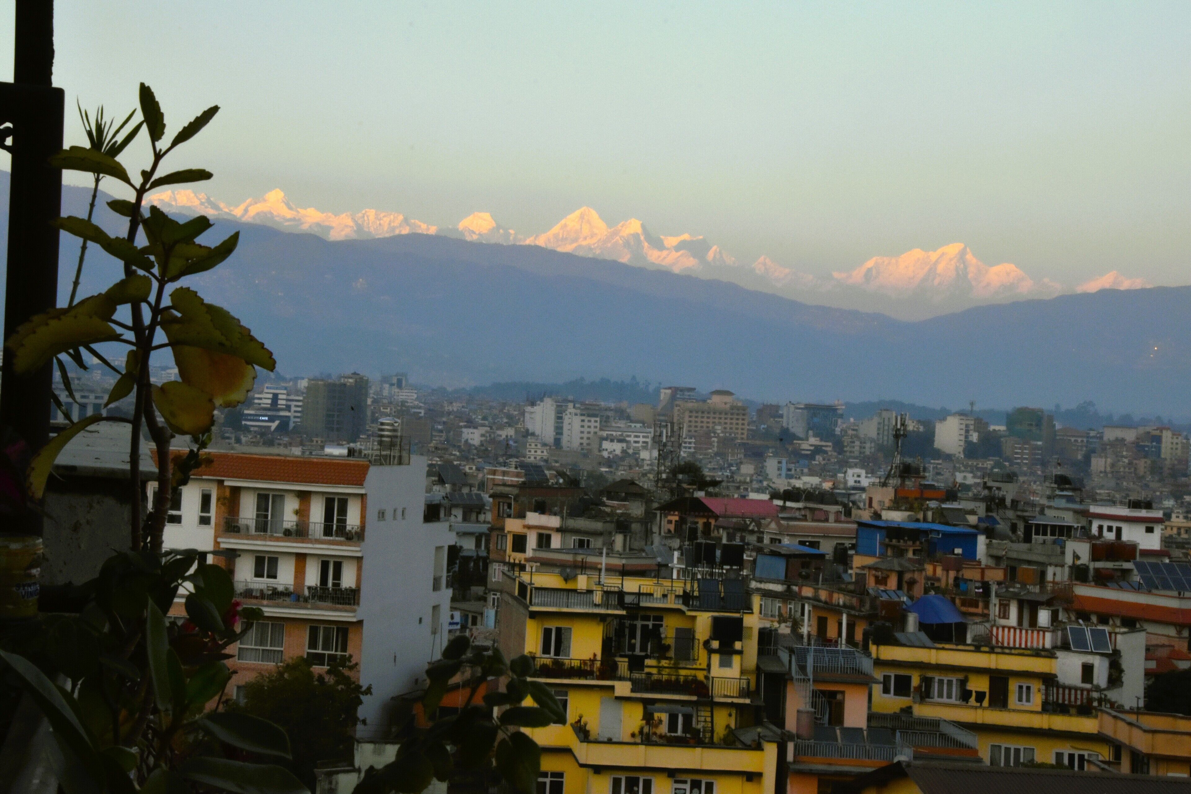 A cityscape with a mountain range in the background.