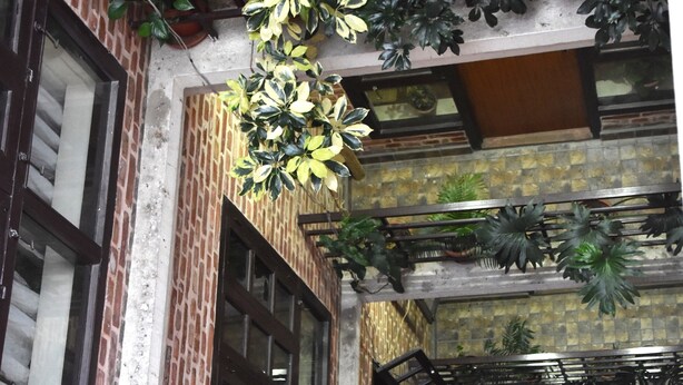 A brick building with multiple windows and hanging plants. - Tanani Newa Home (FishTail) (Lalitpur)