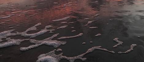 بالقرب من الشاطئ