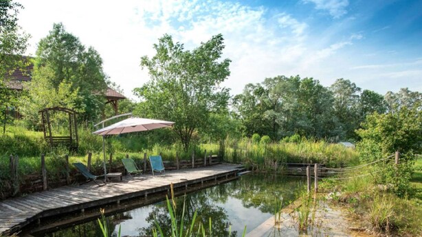 A wooden dock extending into a calm body of water, surrounded by lush greenery and trees. - AN OASIS WHERE TO FIND THE ESSENTIALS<br>AND TAKE A BREAK IN CONSCIOUSNESS & IN (SAINT USUGE)