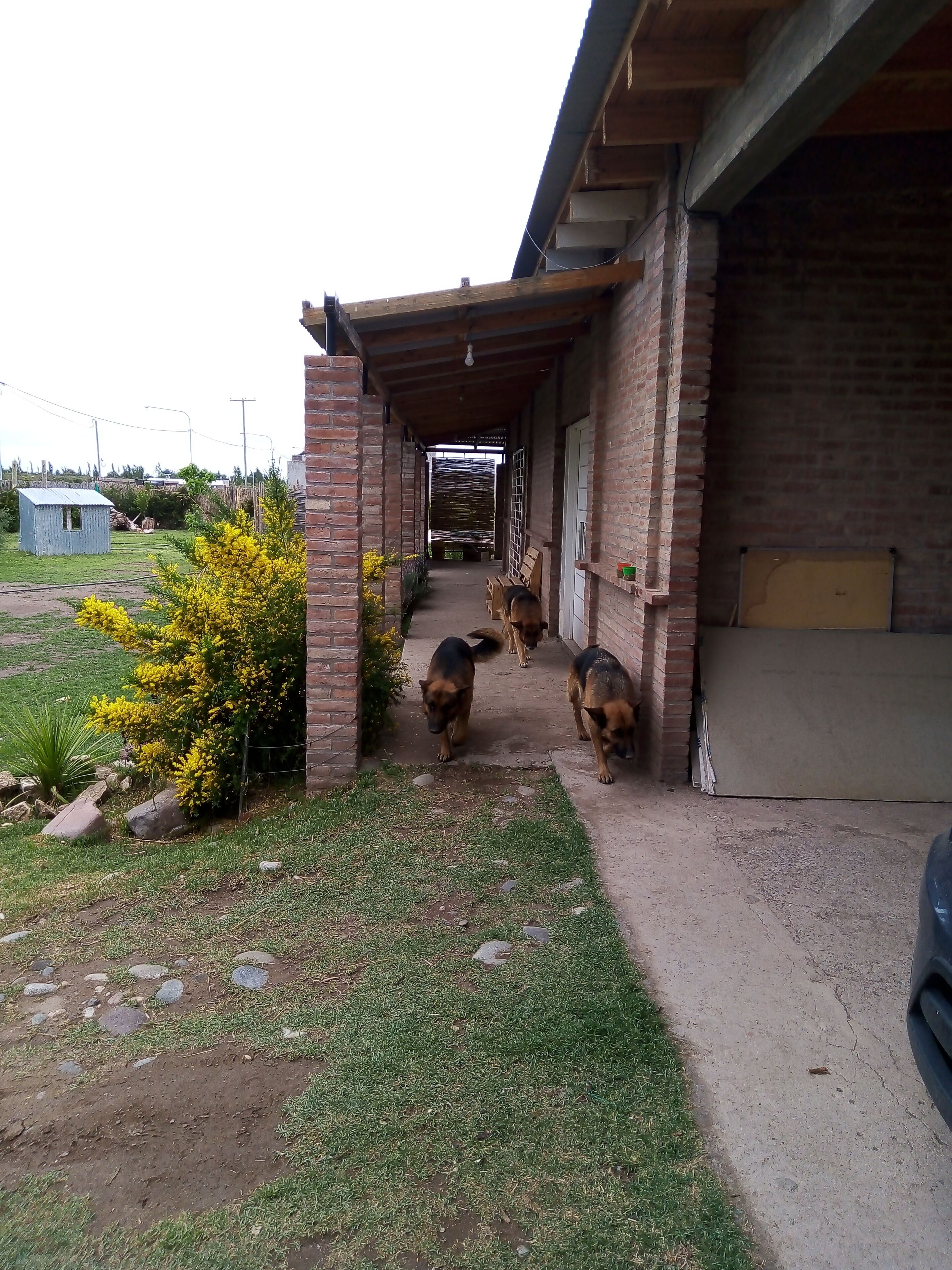 Children’s play area – indoor
