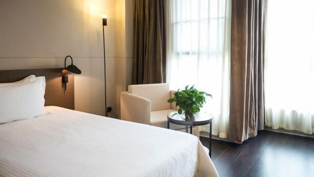 A hotel room with a large bed, a bedside table, a chair, a small table with a plant, and a window with curtains. - Jinjiang Inn Select Yan An Zaoyuan Road (Yan'an)