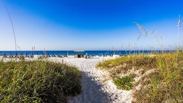 On the beach