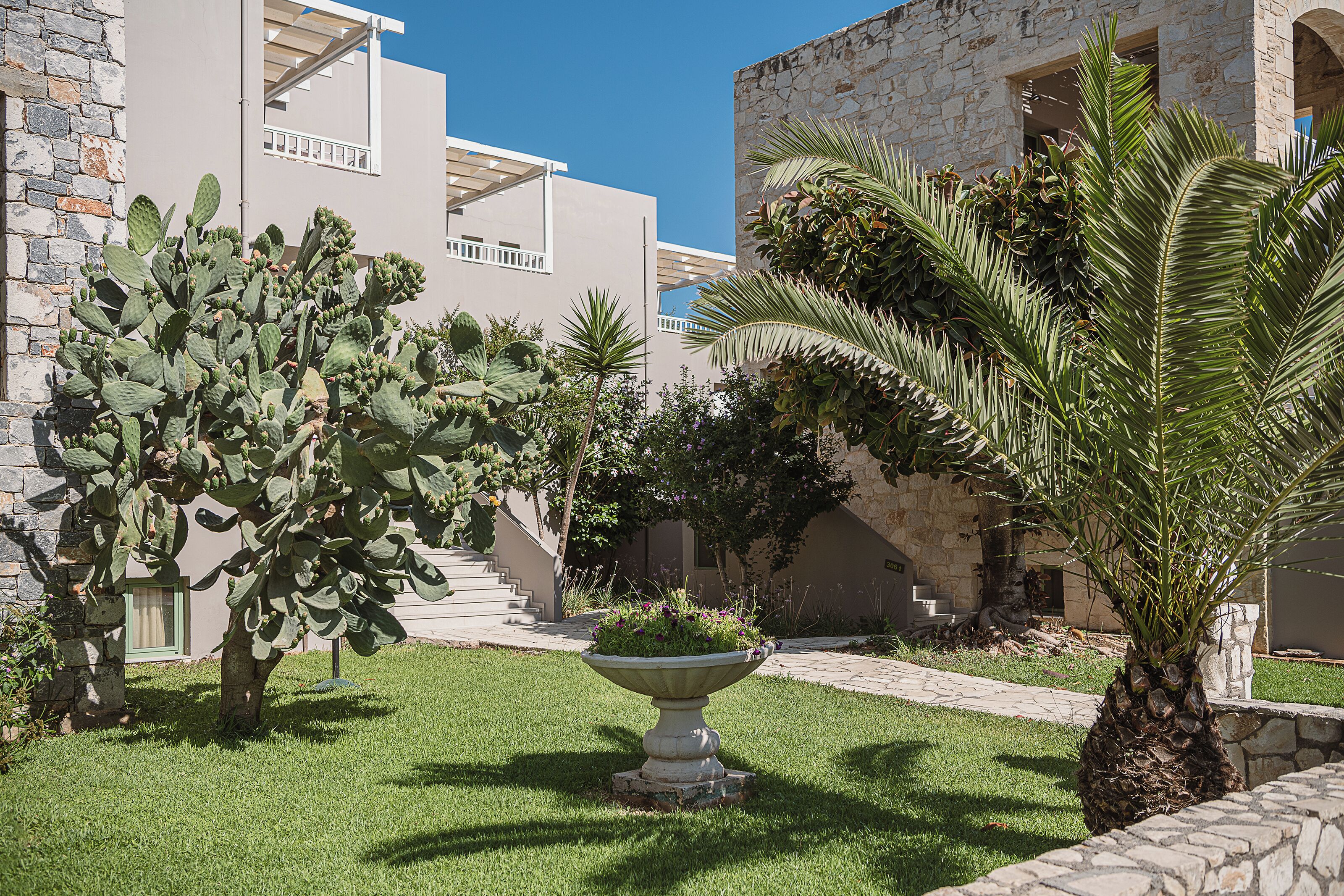 A courtyard with a cactus, palm tree, and a planter with flowers.