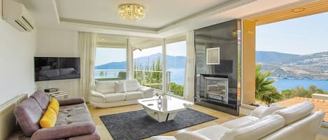 TV, fireplace, ping pong