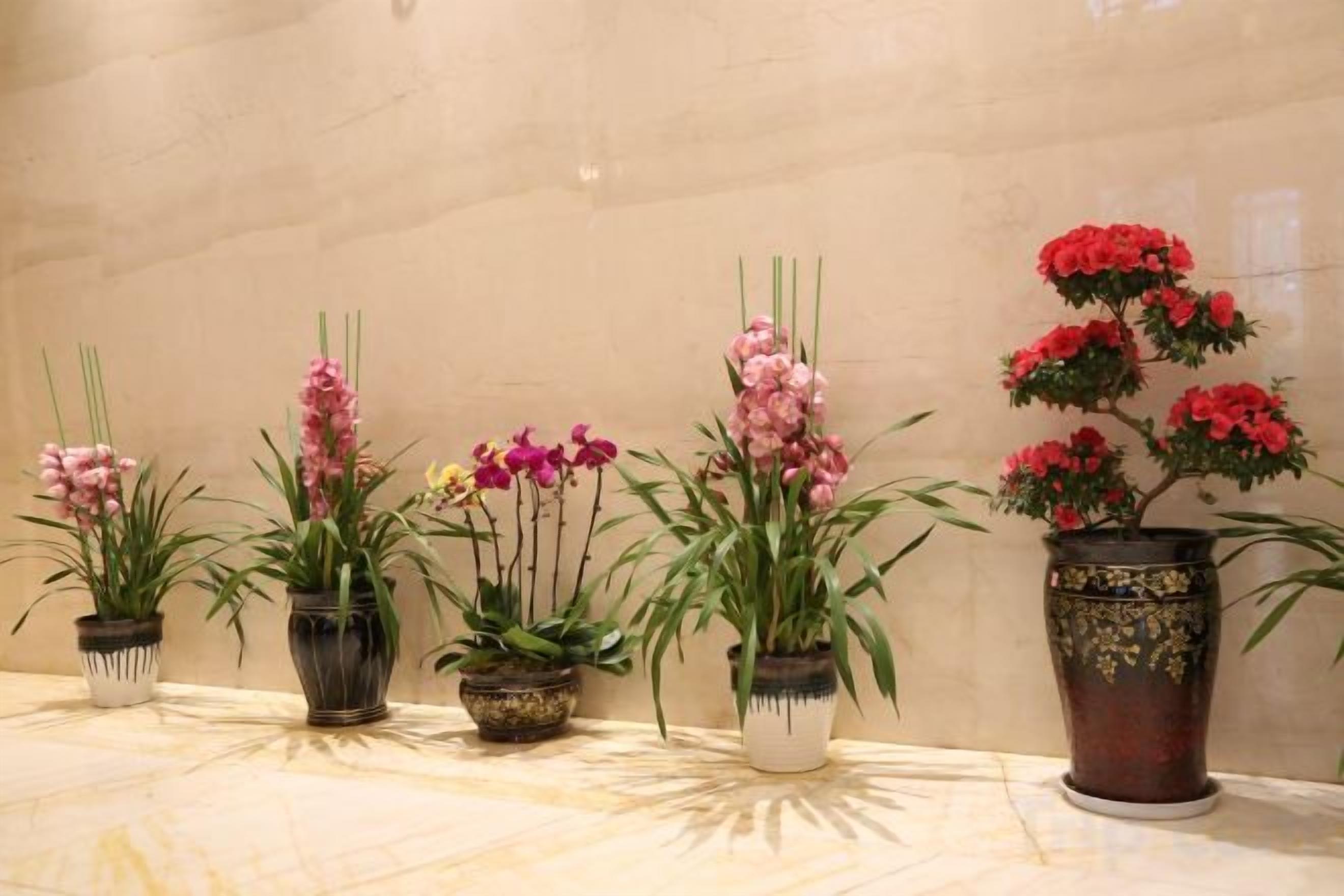 住宿内部