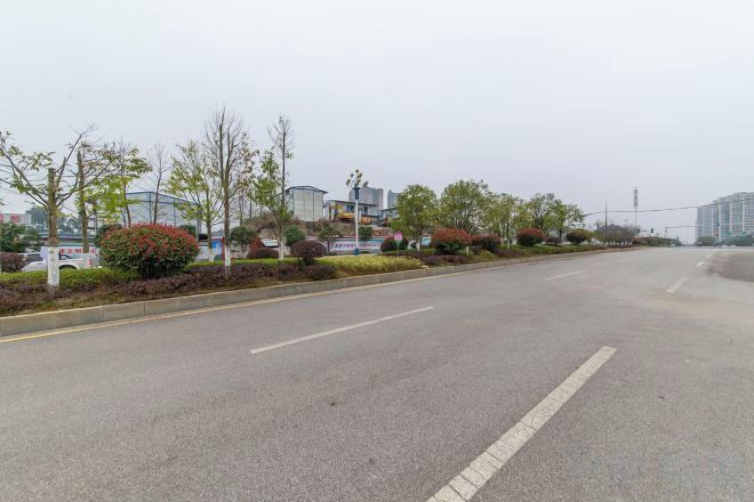 A wide, empty road with a median strip of trees and shrubs, buildings in the background, and a clear sky.