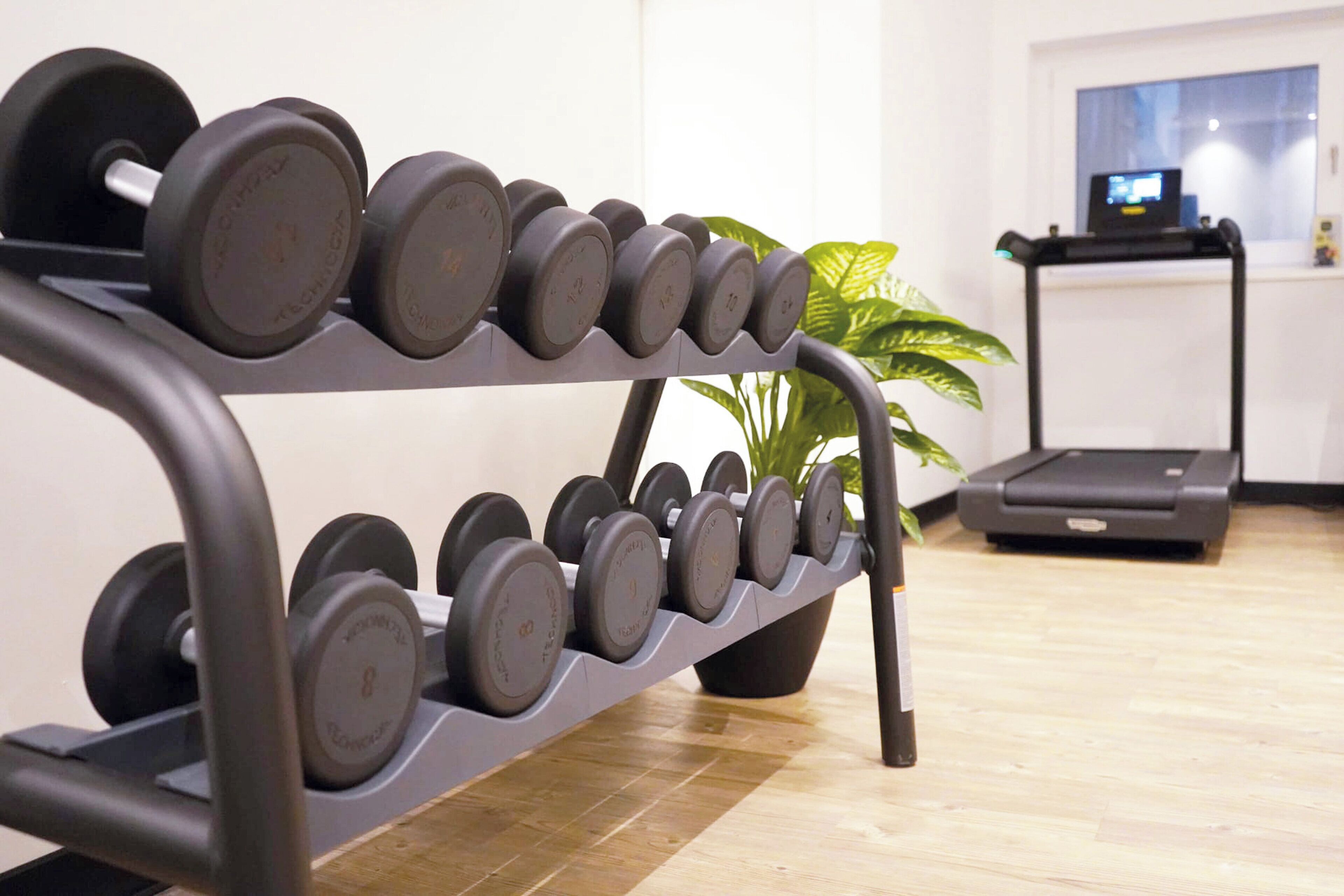 A home gym with a rack of dumbbells and a treadmill.